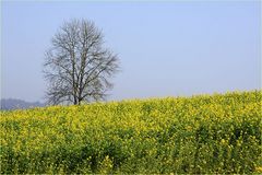 Herbst grüßt Frühling