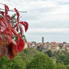 Herbst hält Einzug