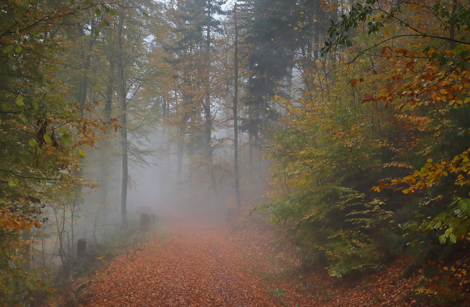 Herbst halt.