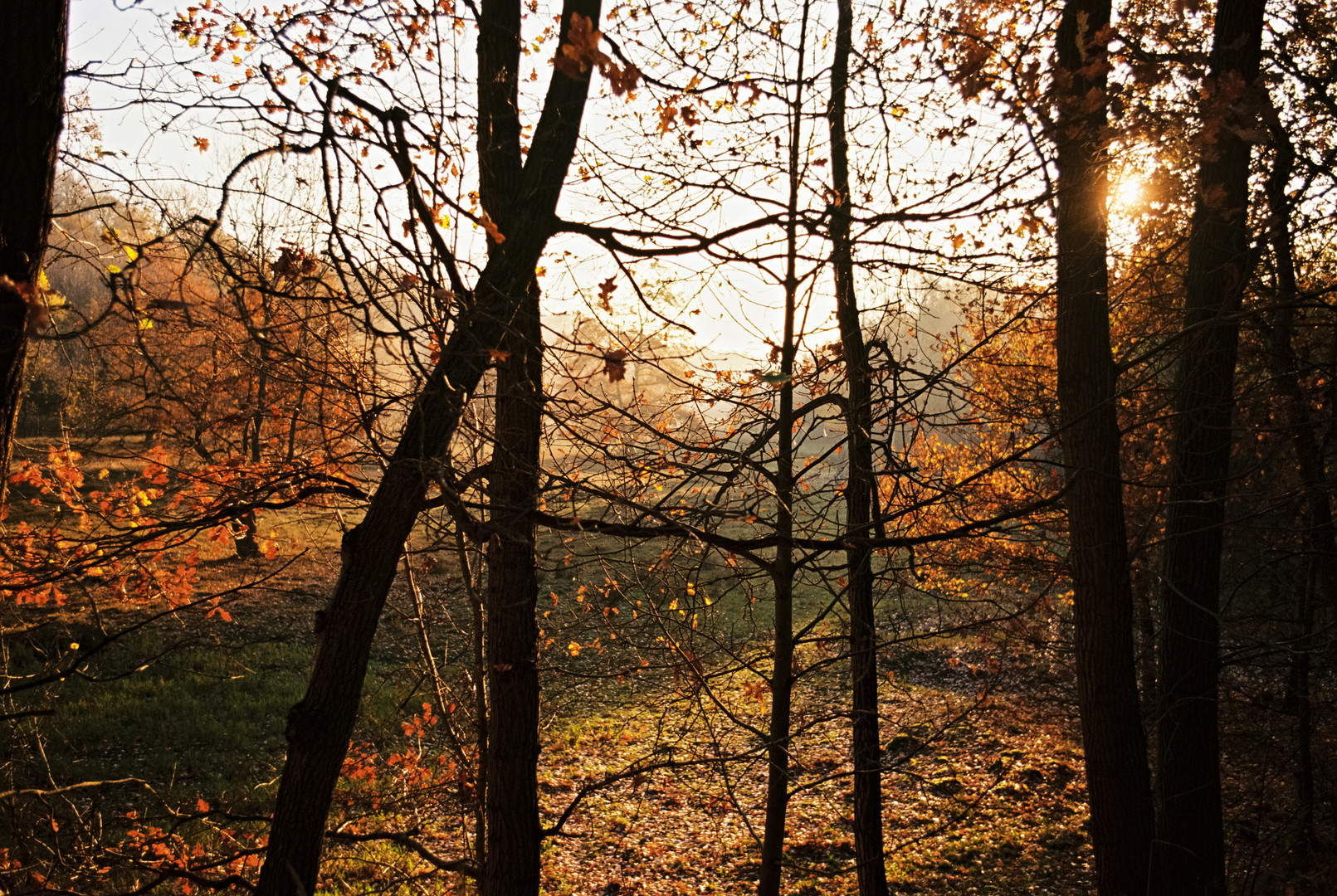 Herbst Hamburg Boberg