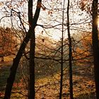 Herbst Hamburg Boberg