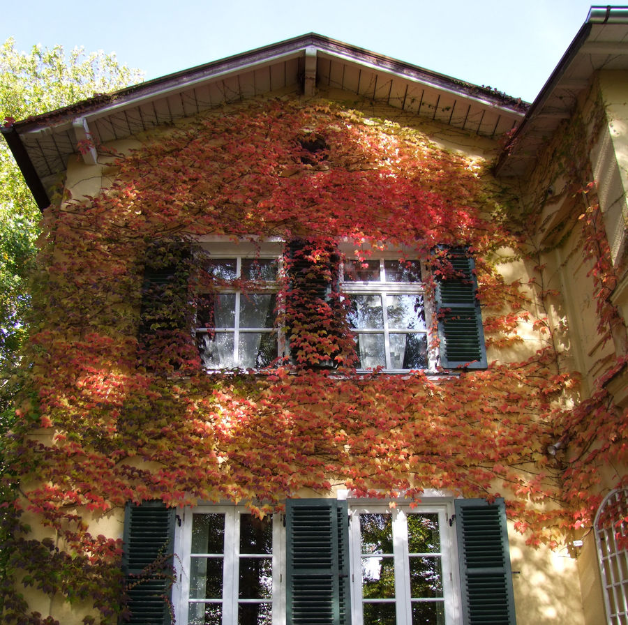 Herbst Haus