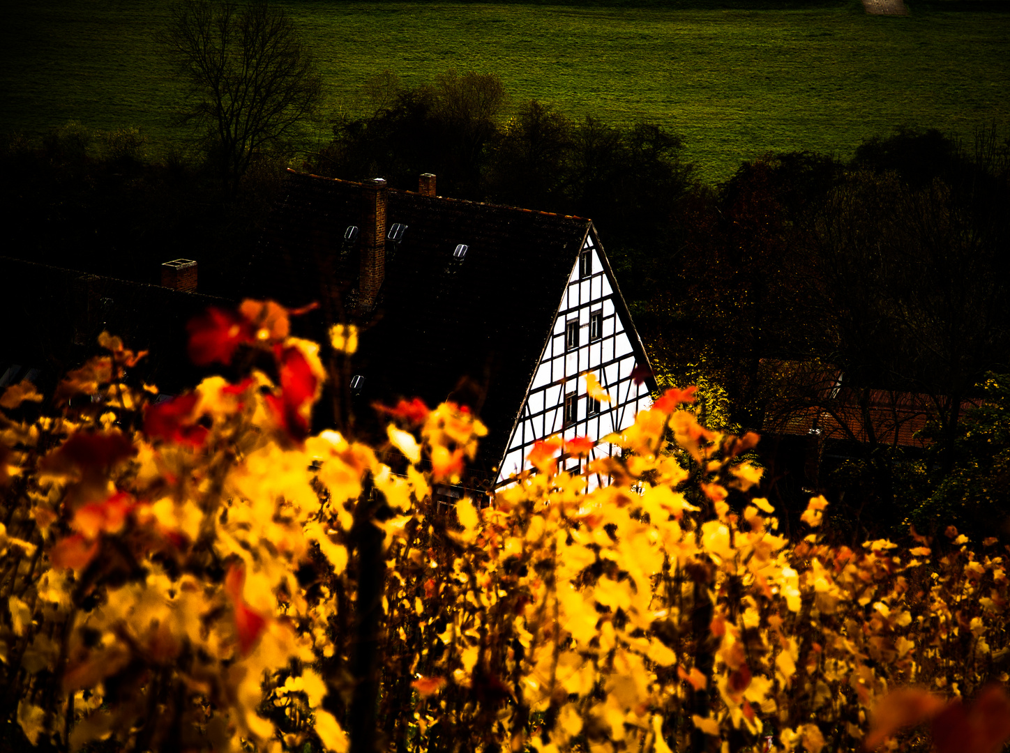 Herbst Haus