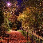 Herbst-HDR