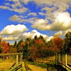 Herbst HDR