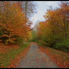 Herbst HDR
