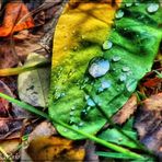 Herbst (( HDRI ))