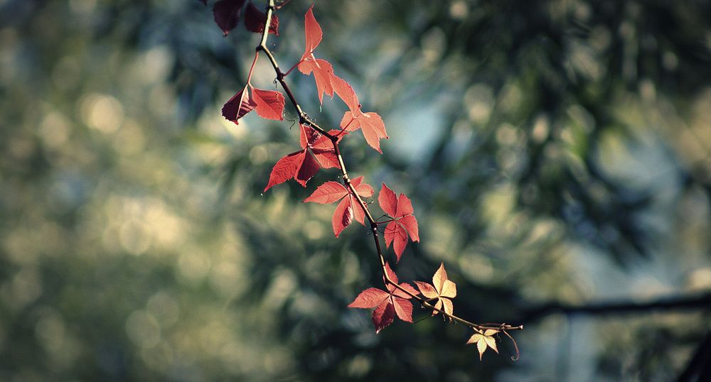 Herbst Herbst Herbst