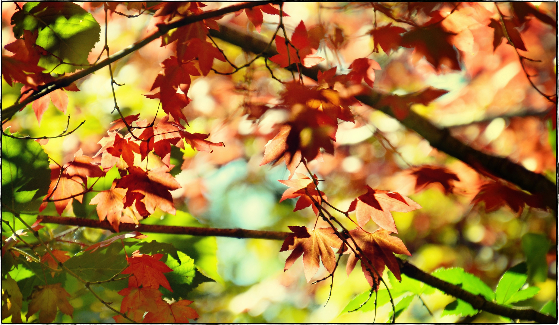 Herbst, Herbst, Herbst