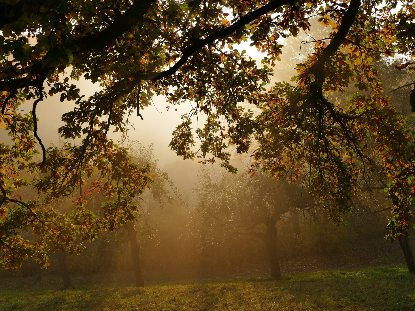 Herbst Herbstimmung