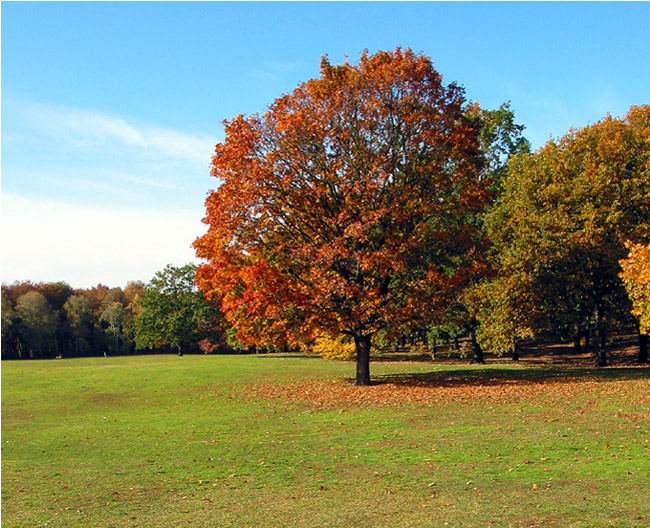 herbst, herbst...ooh...herbst