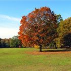 herbst, herbst...ooh...herbst