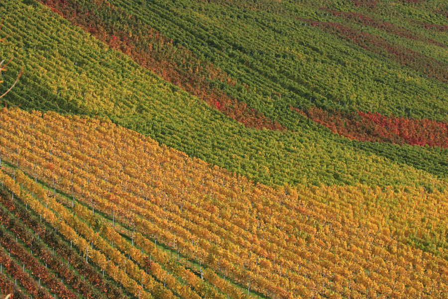 Herbst herrscht