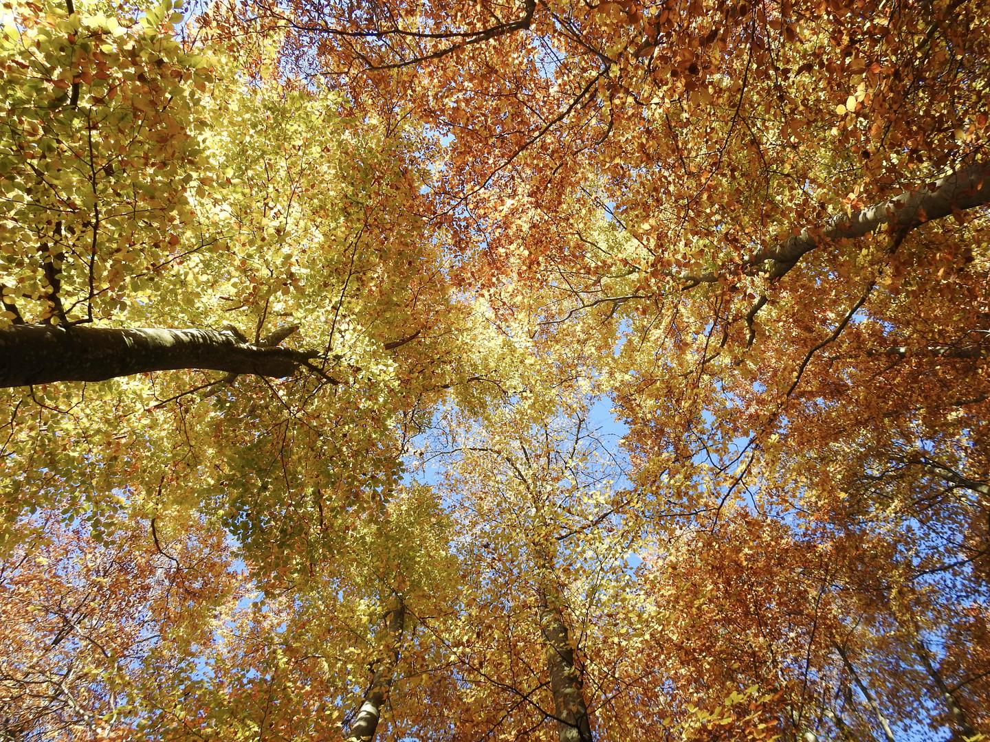 Herbst Himmel