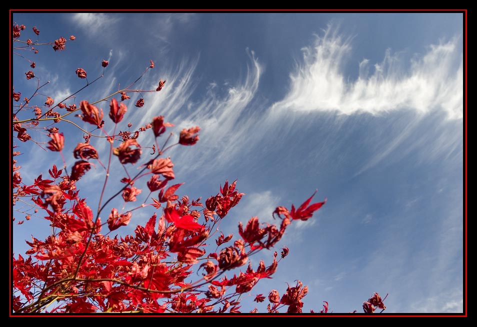 Herbst Himmel