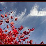 Herbst Himmel