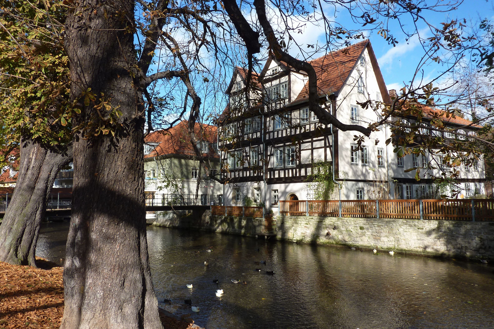 Herbst hinter der "Krämerbrücke"