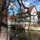 Herbst hinter der "Krämerbrücke"