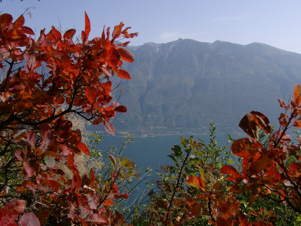 Herbst, hoch über dem Gardasee