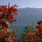 Herbst, hoch über dem Gardasee