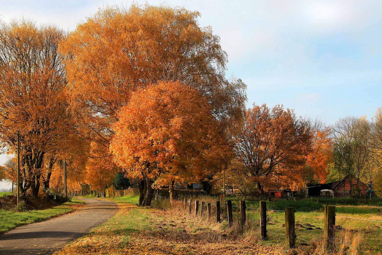 Herbst-Höhepunkt