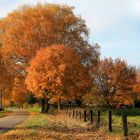 Herbst-Höhepunkt