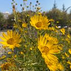 Herbst @ Home