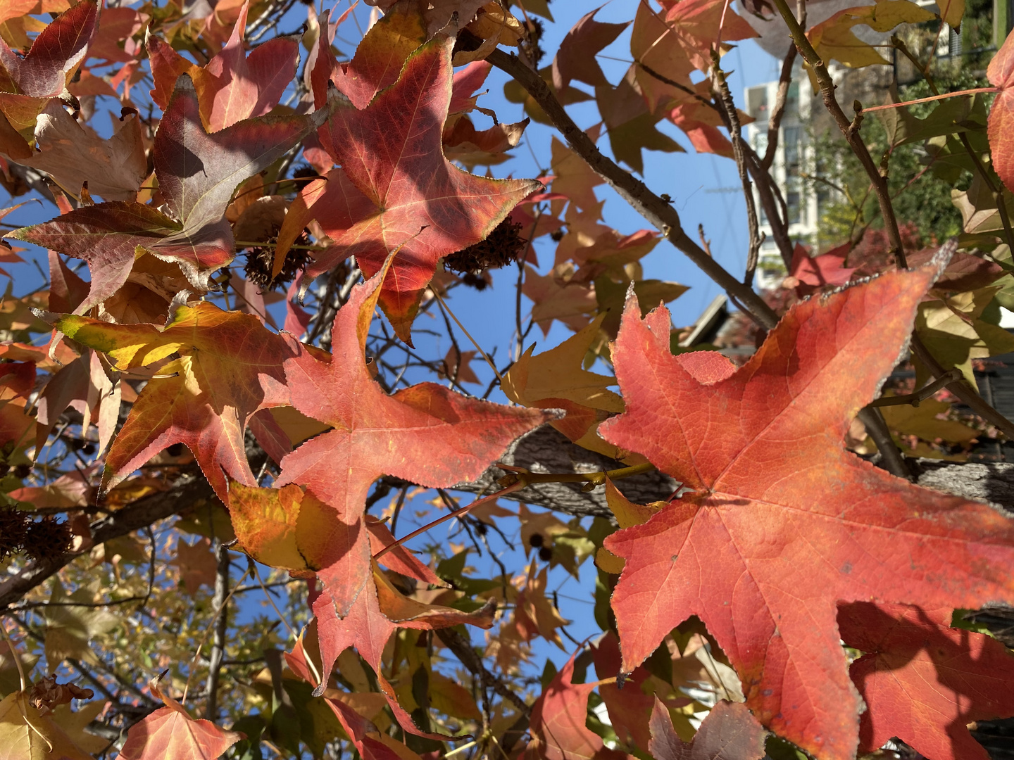 Herbst @ Home