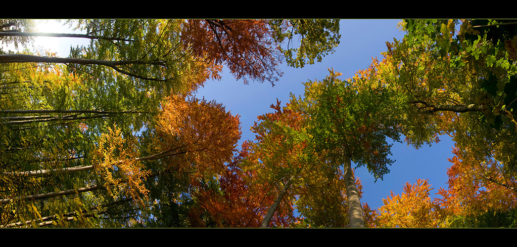 Herbst-Horizontal