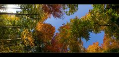 Herbst-Horizontal