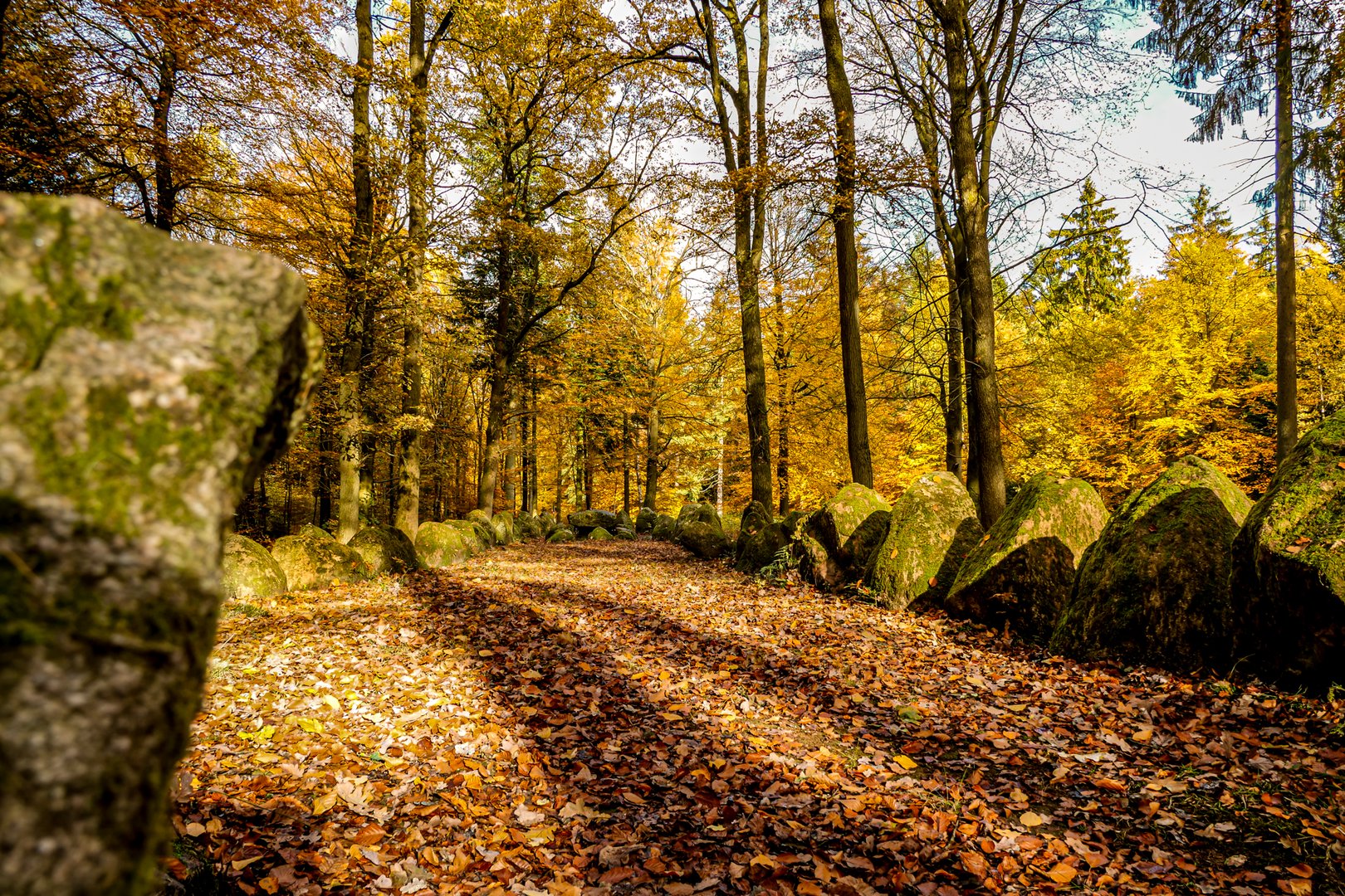 Herbst - Hünenbett im Klecker Wald