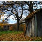 Herbst Hütte