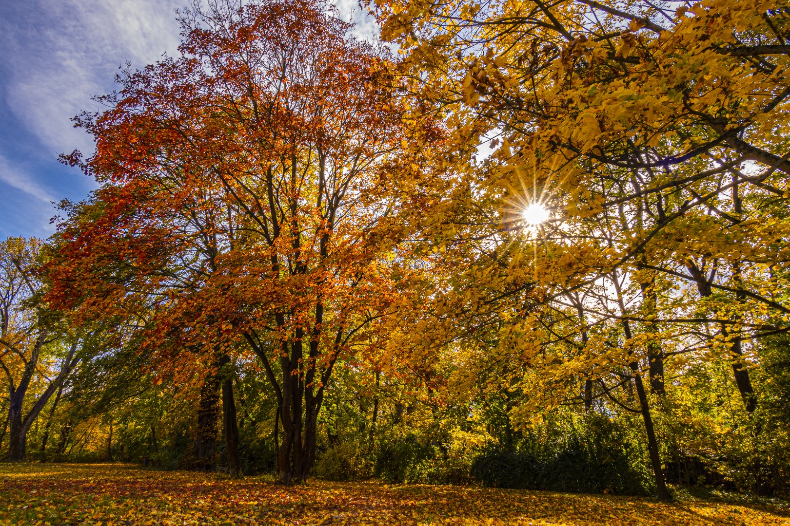 Herbst I