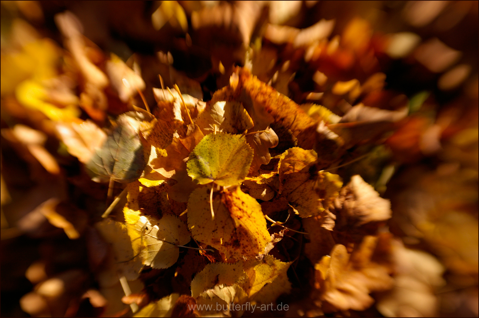 Herbst I