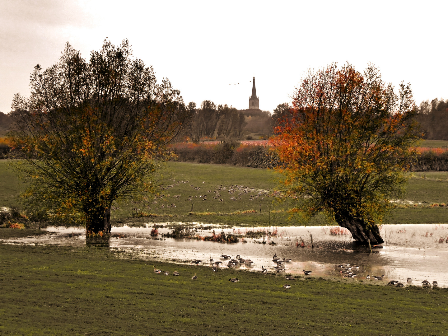 Herbst I