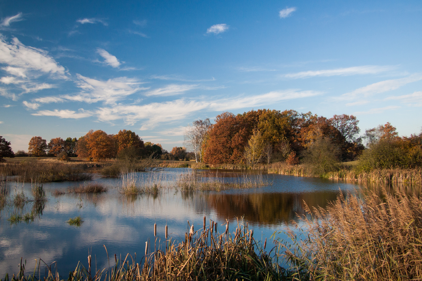 Herbst I