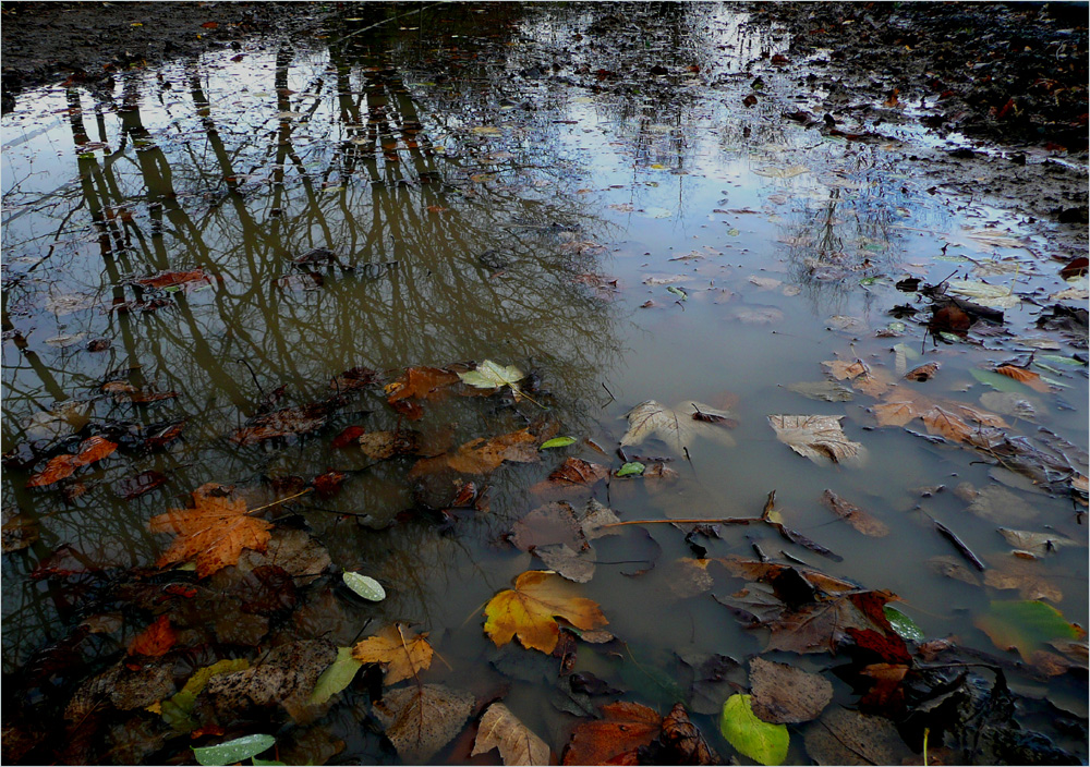 Herbst I