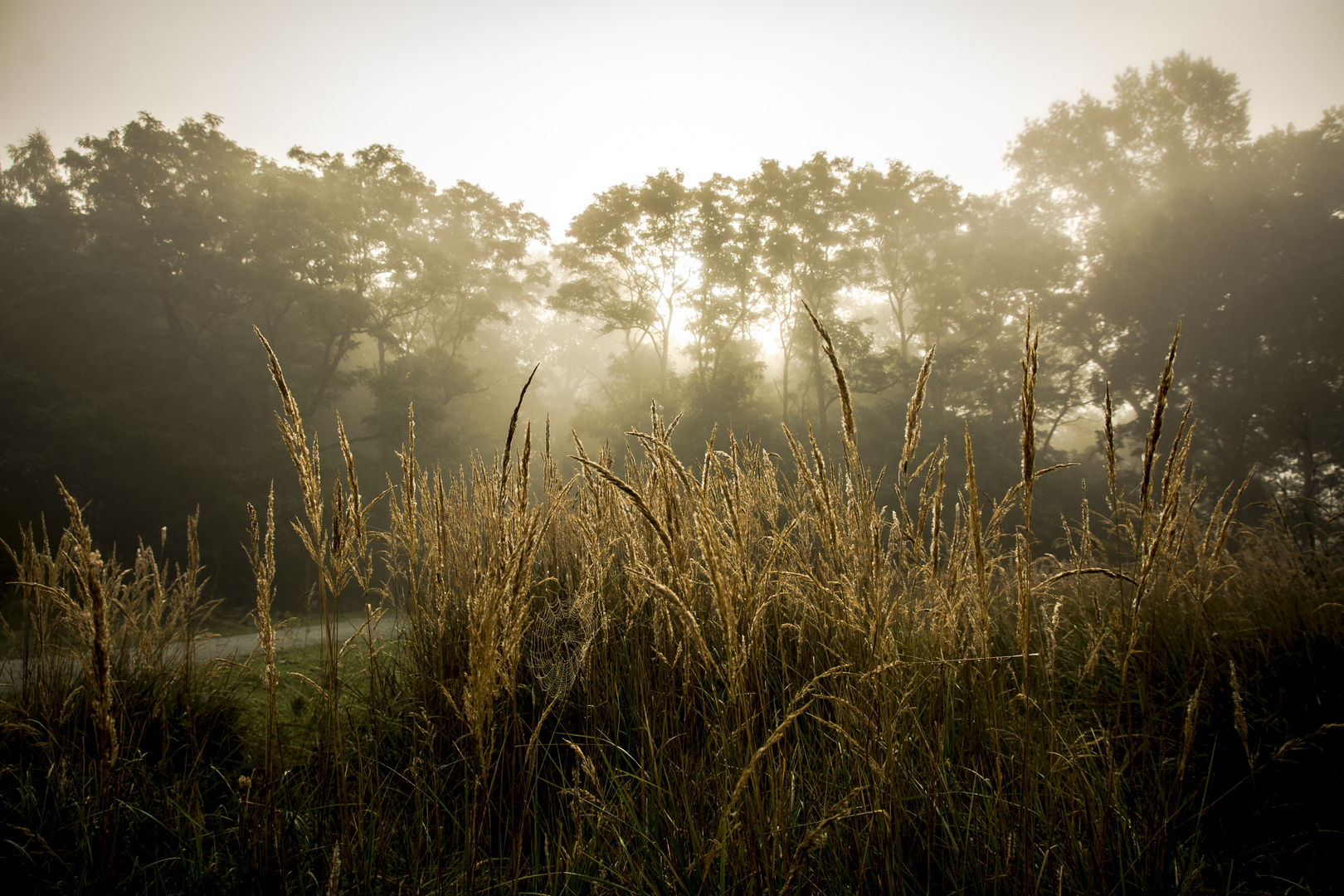 Herbst I