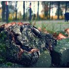 Herbst I