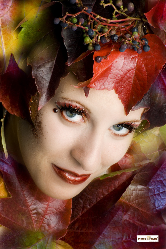 Herbst I - Auge