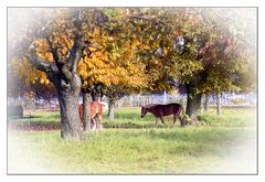 Herbst-Idyll