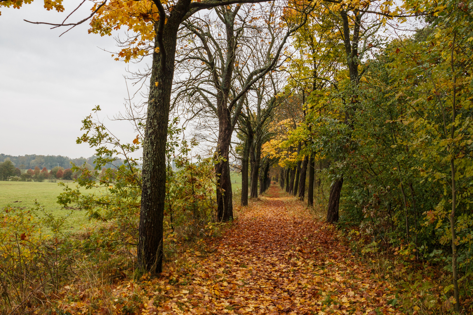 Herbst-Idyll am "Weißen Weg" bei Ohrdruf II