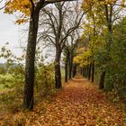 Herbst-Idyll am "Weißen Weg" bei Ohrdruf II