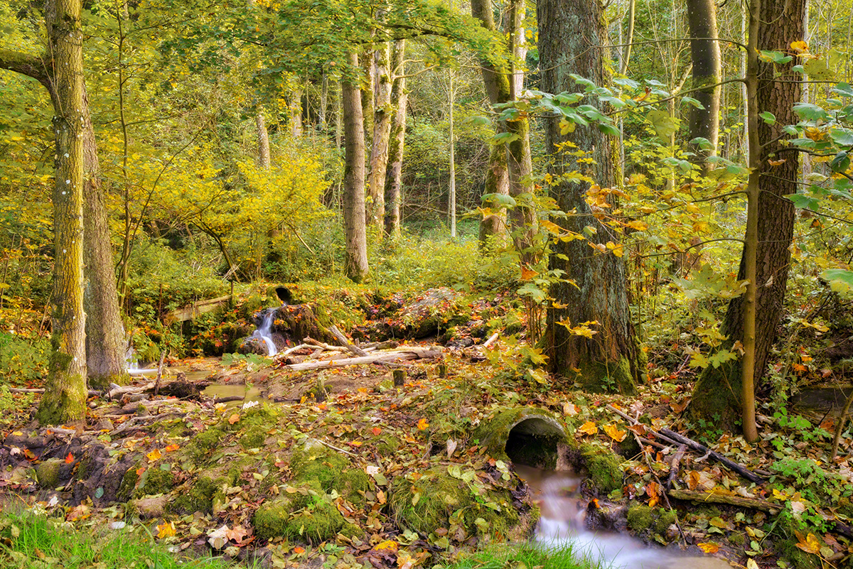 Herbst Idylle