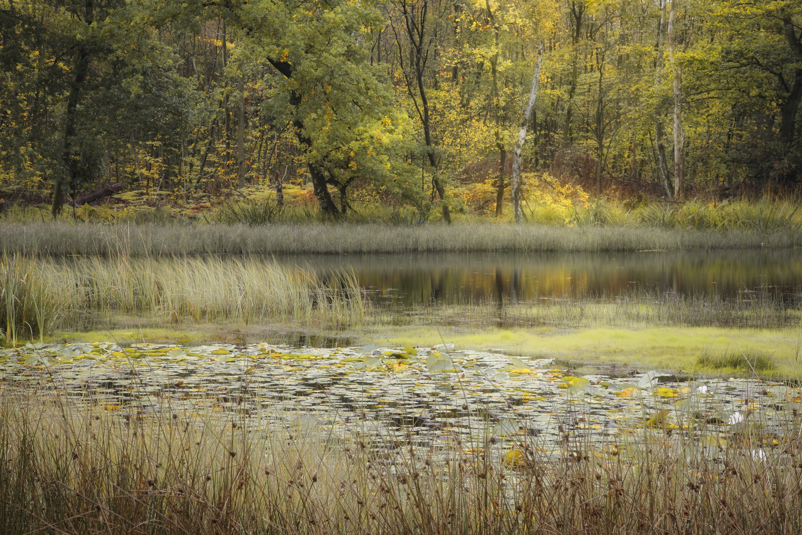 Herbst-Idylle