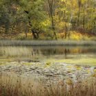 Herbst-Idylle