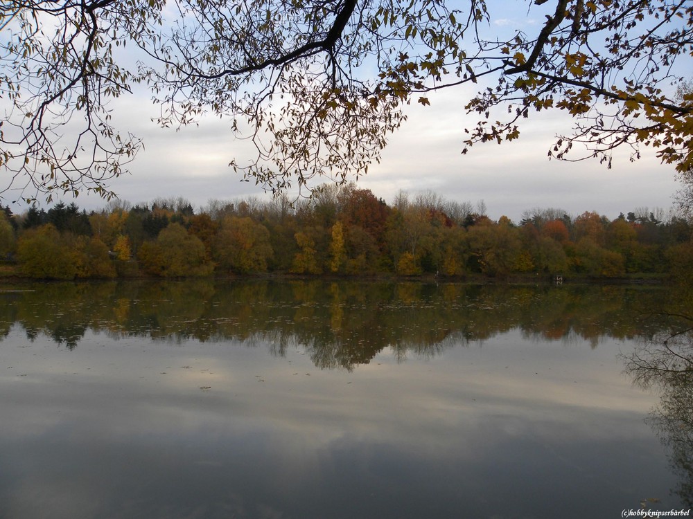 Herbst-idylle am Teich