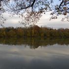 Herbst-idylle am Teich