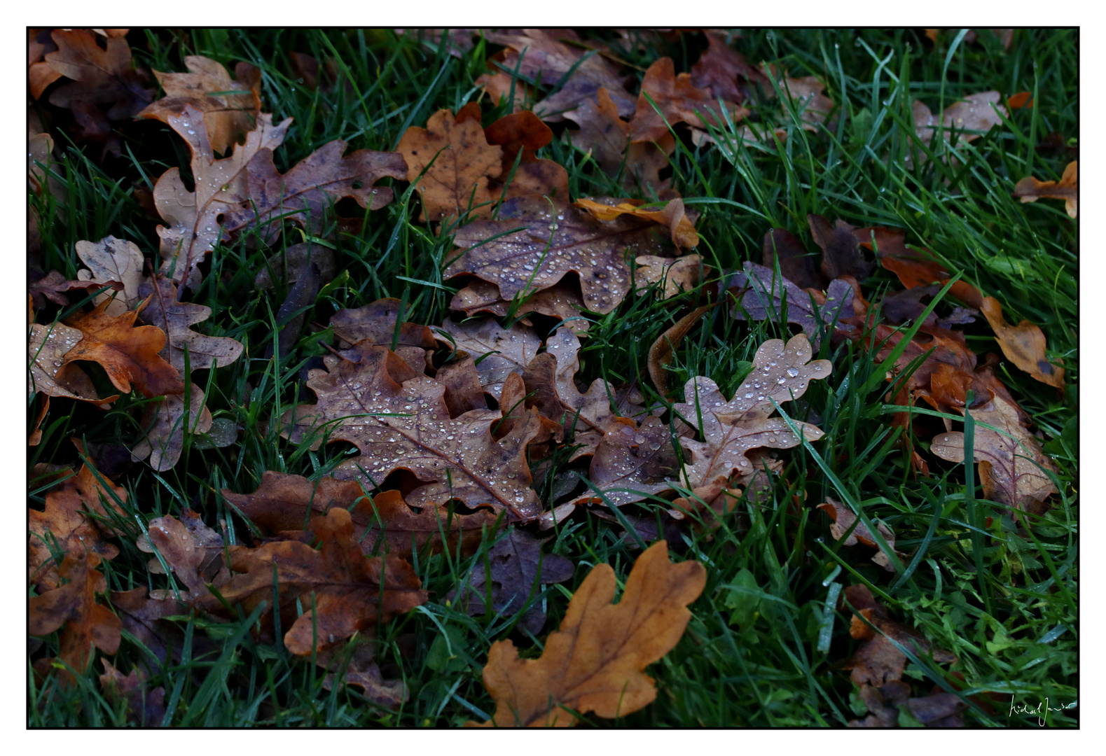 Herbst (II)