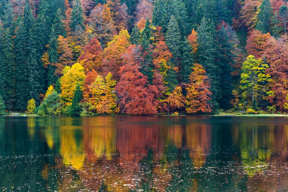 HERBST II Foto &amp; Bild | jahreszeiten, herbst, landscape Bilder auf ...